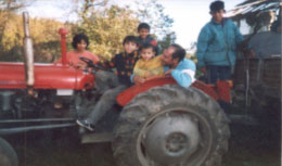 Ада је најмлађе дете 11-члане ромске породице. Његовом оцу дат је виноград, чиме је омогућено да зарађује. Међуопштинска Стратегија предвиђа развој помоћи Ромима