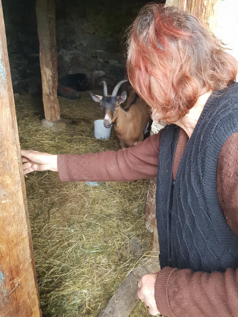 Living off a single goat, the village of Kamenica