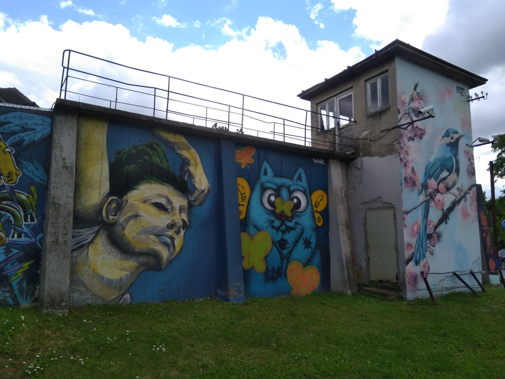 Murali na zidovima KPZ Požarevac