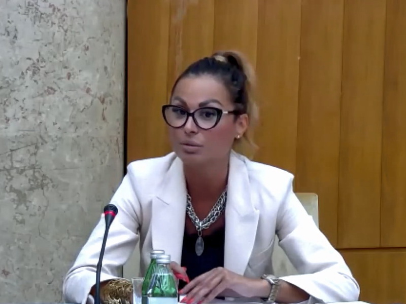 Nina Mitić, Assistant at the Ministry of Human and Minority Rights and Social Dialogue