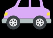 zpa_purple_auto